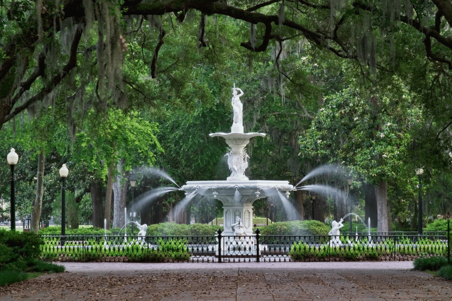 MINDSET DTI Imaging Center in Savannah, Georgia