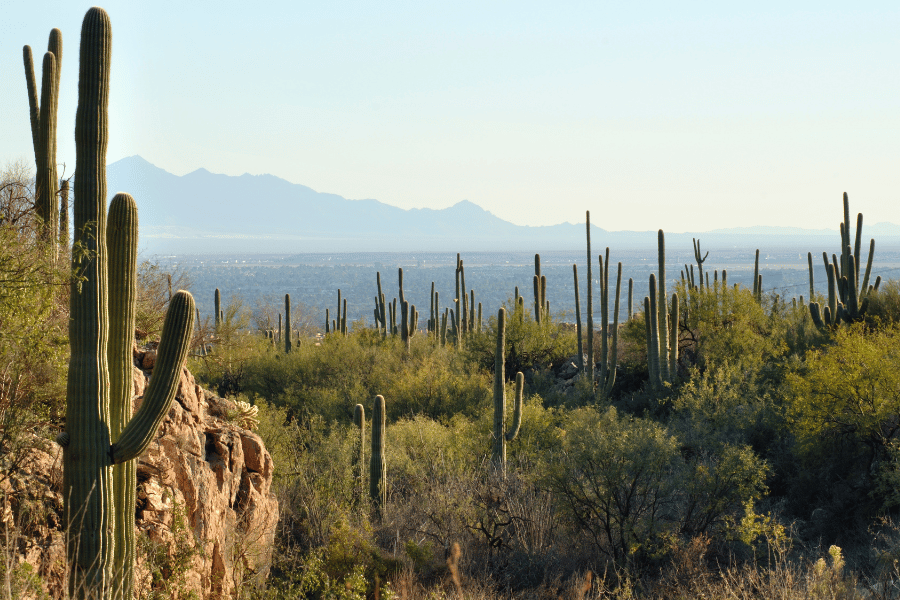 MINDSET DTI Imaging Center in Tucson, Arizona